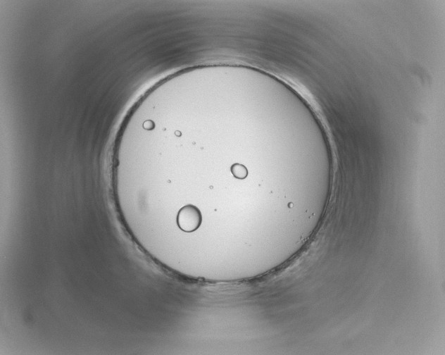 X0000115831008200912111308