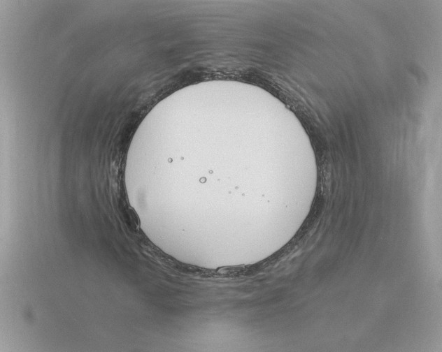 X0000115831010200912111308