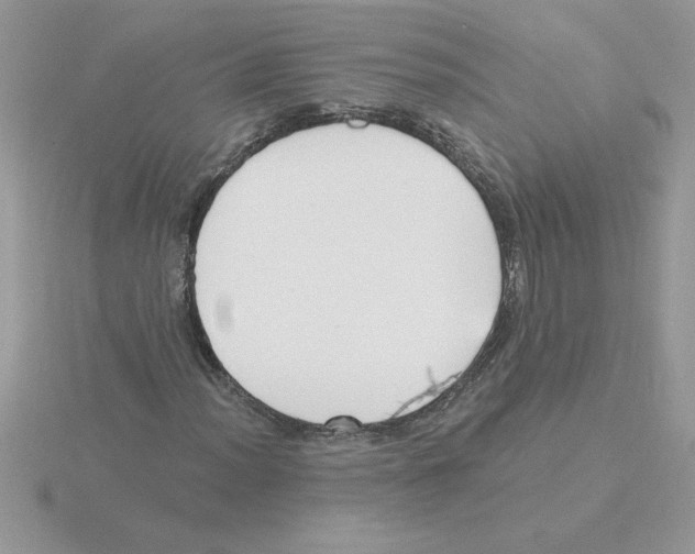 X0000115831012200912111308