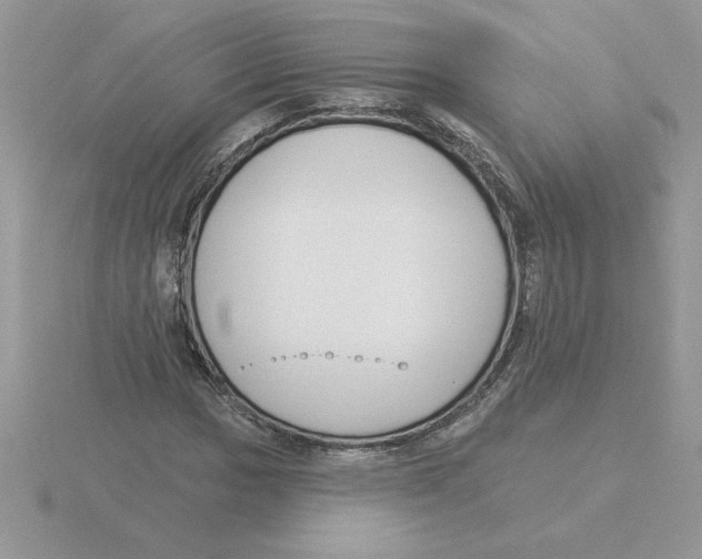 X0000115831017200912111308