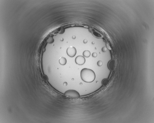 X0000115831019200912111308