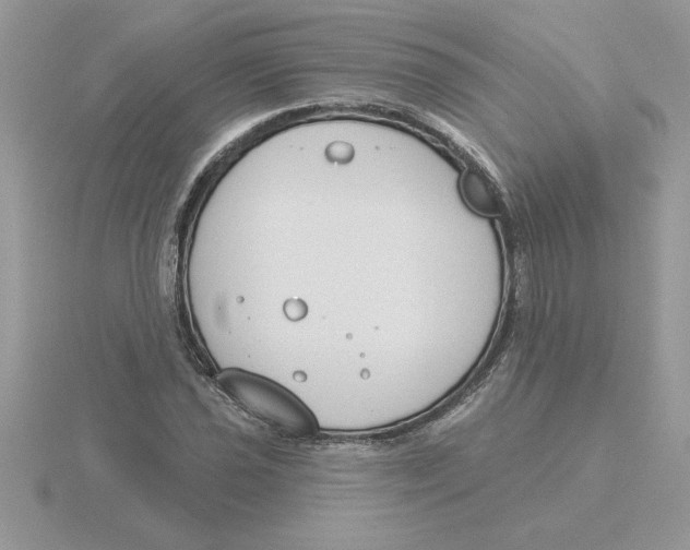 X0000115831021200912111308