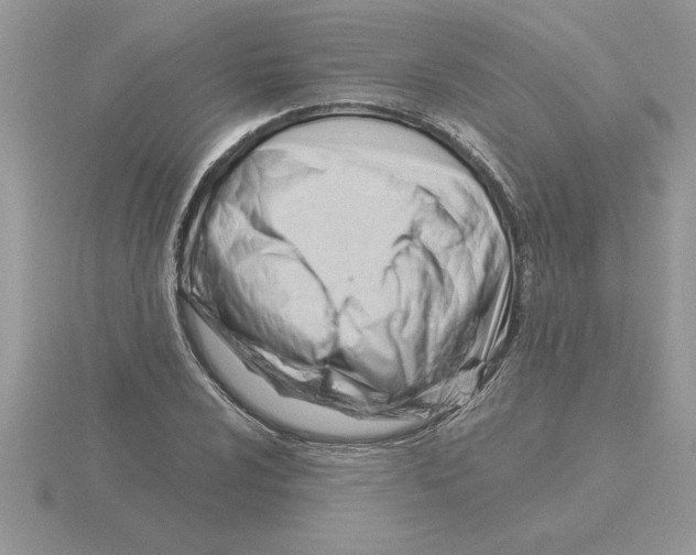 X0000115831024200912111308