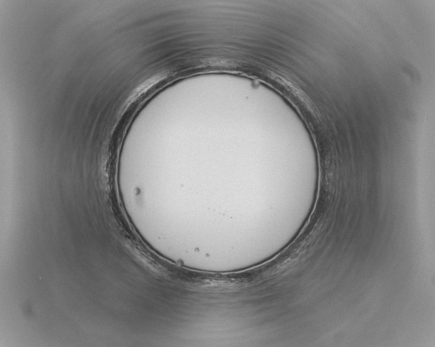 X0000115831026200912111308