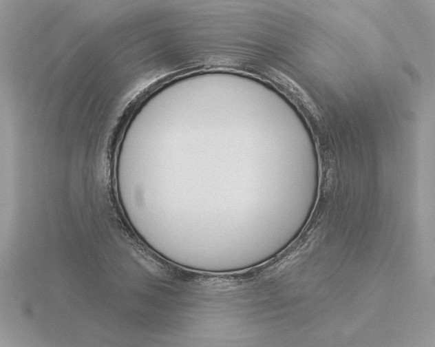 X0000115831027200912111308