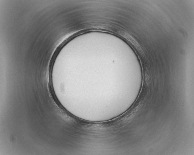 X0000115831028200912111308