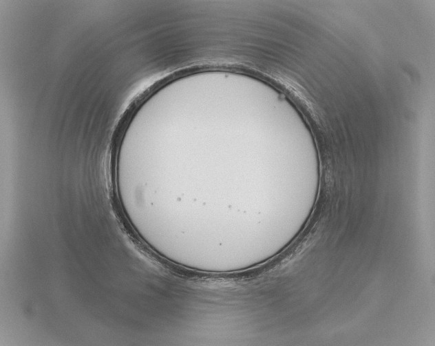 X0000115831030200912111308