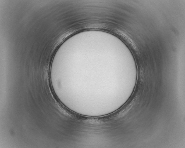 X0000115831033200912111308