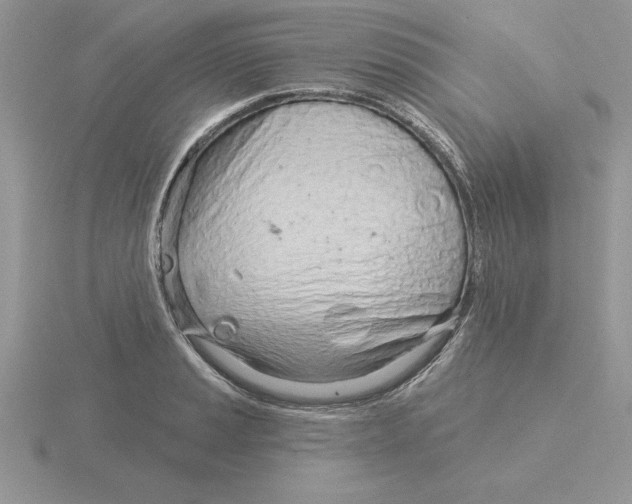 X0000115831037200912111308