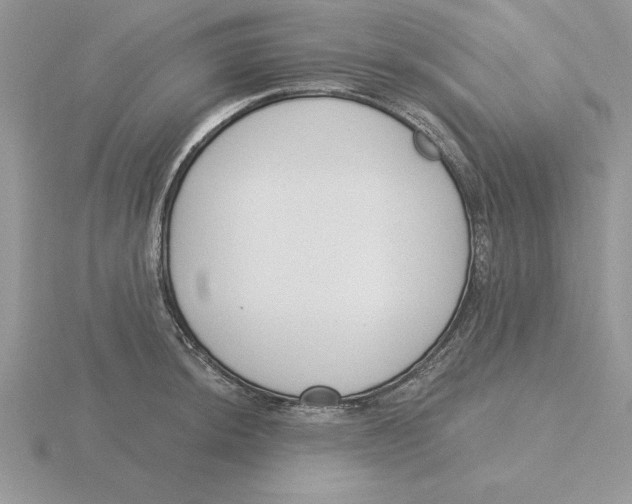 X0000115831044200912111308