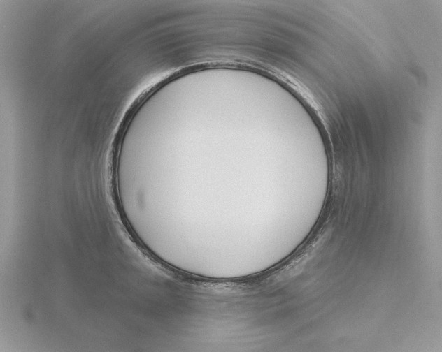 X0000115831045200912111308