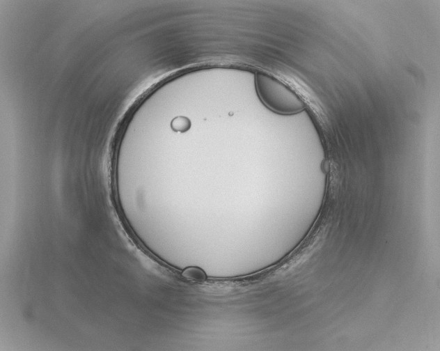 X0000115831046200912111308