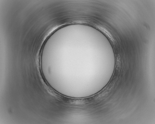 X0000115831047200912111308