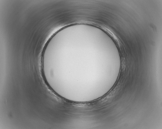 X0000115831048200912111308