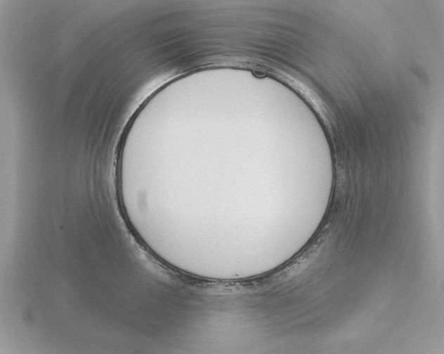 X0000115831050200912111308