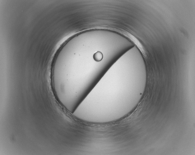 X0000115831051200912111308