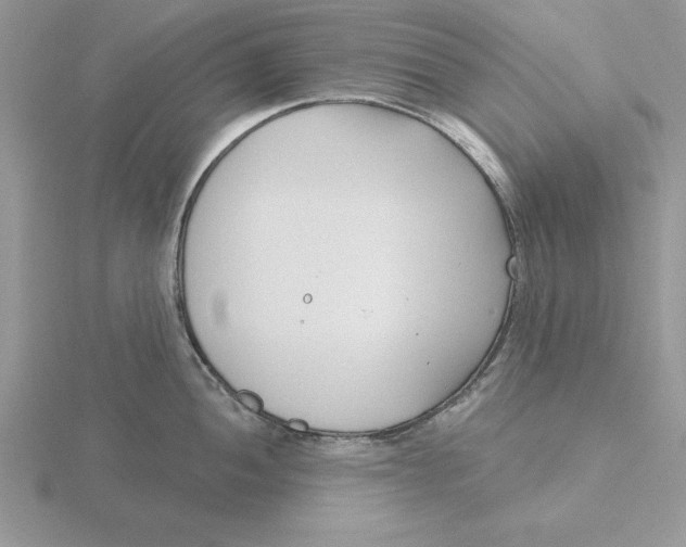 X0000115831052200912111308