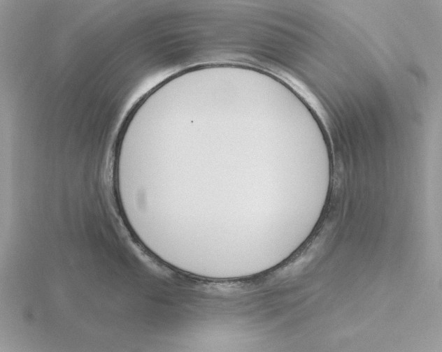 X0000115831053200912111308