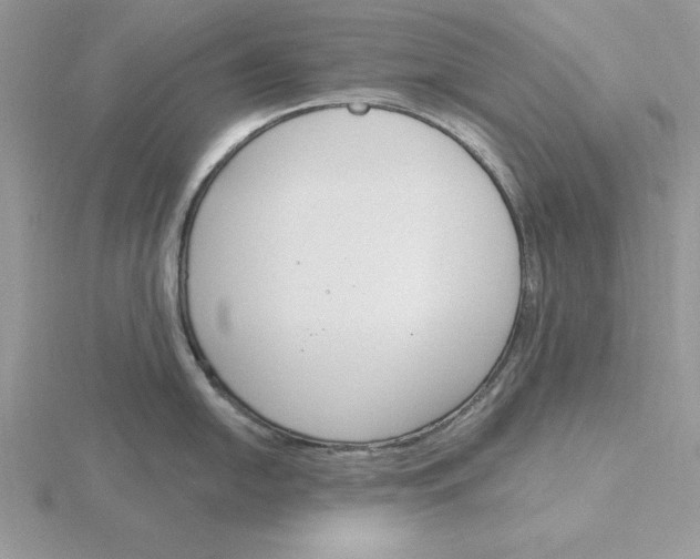 X0000115831054200912111308