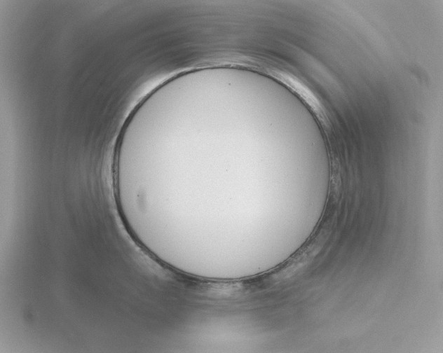 X0000115831055200912111308