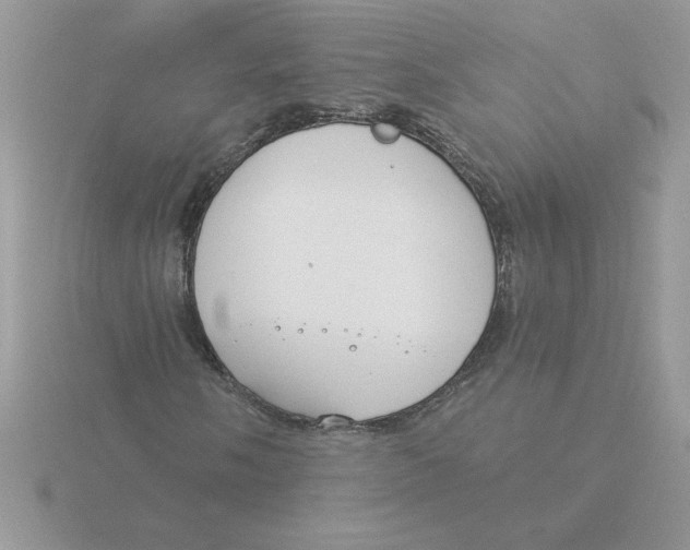 X0000115831058200912111308