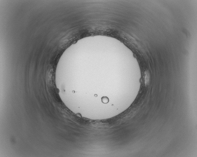 X0000115831059200912111308