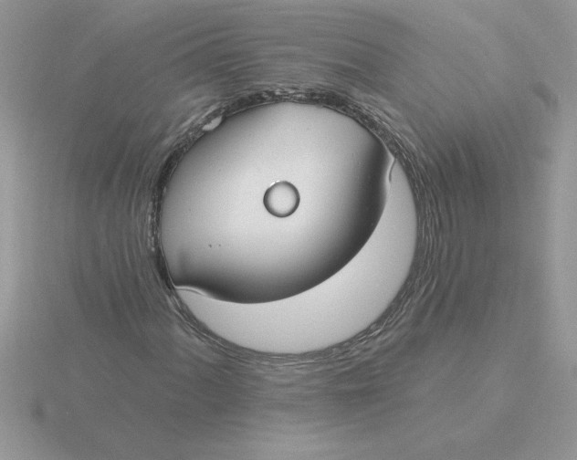 X0000115831060200912111308