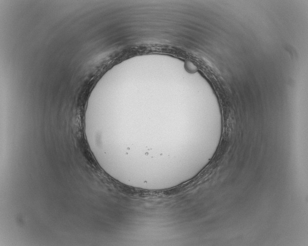 X0000115831062200912111308