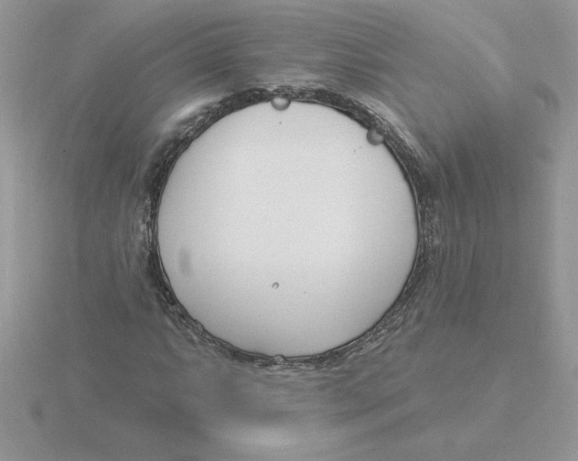 X0000115831063200912111308