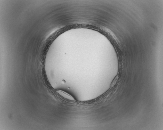 X0000115831064200912111308