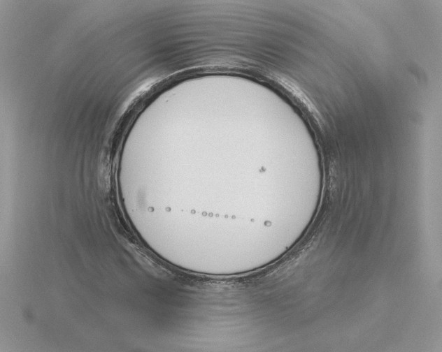 X0000115831067200912111307