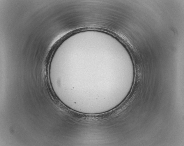 X0000115831070200912111307