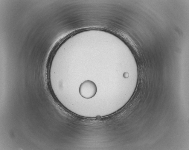 X0000115831072200912111307