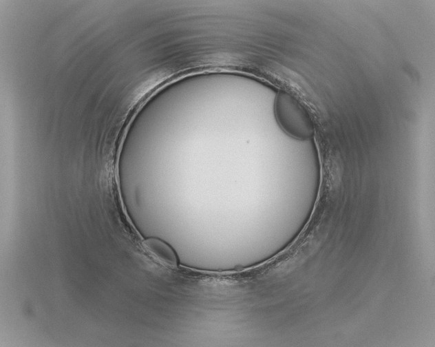 X0000115831073200912111307