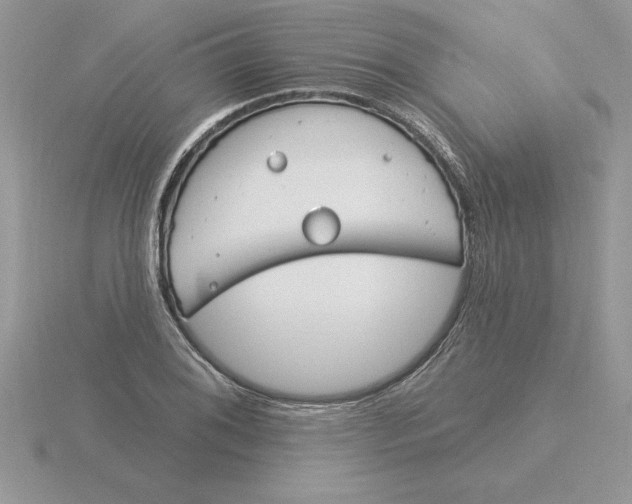 X0000115831076200912111307