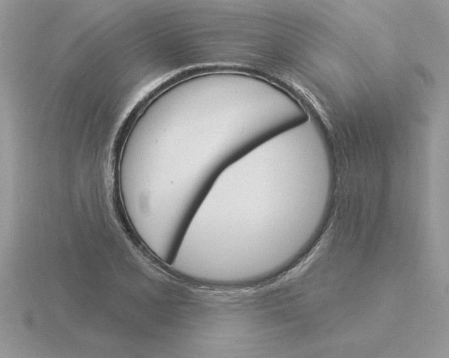 X0000115831077200912111307