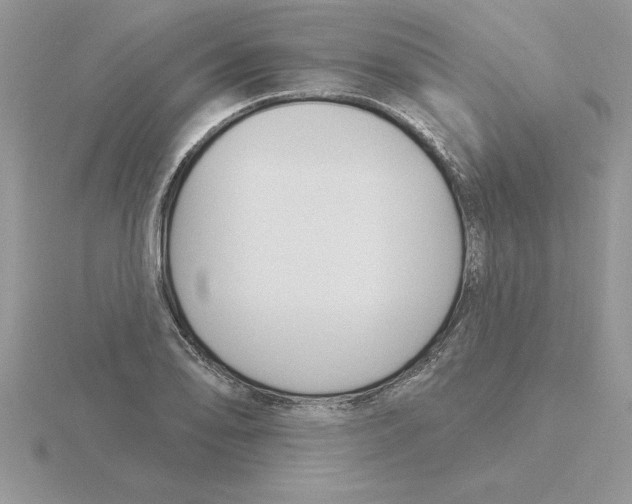 X0000115831078200912111307