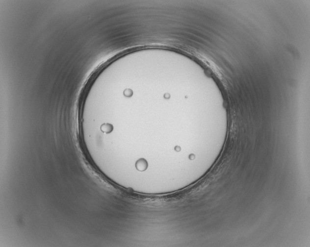 X0000115831080200912111307