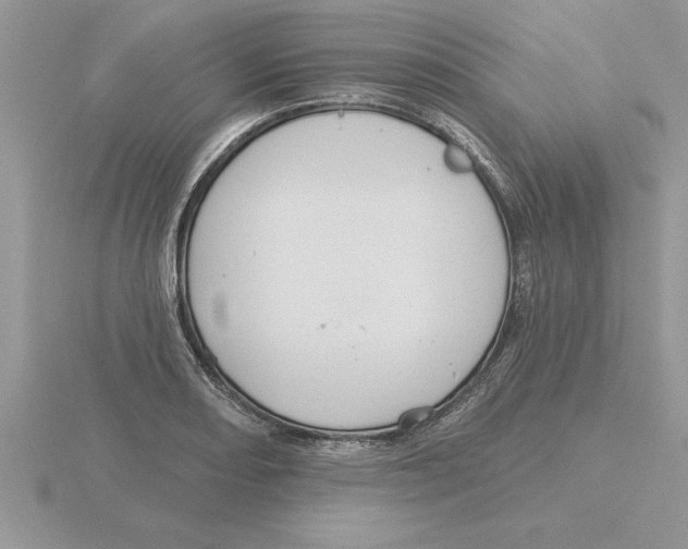 X0000115831082200912111307