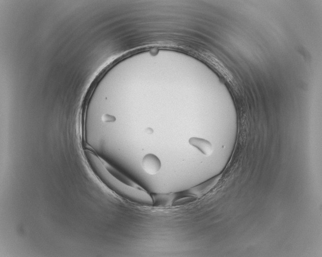 X0000115831084200912111307