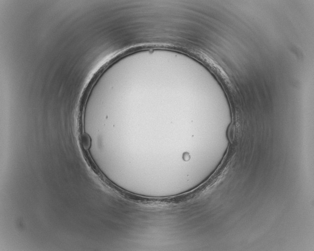 X0000115831085200912111307