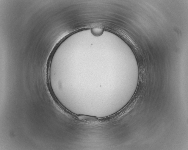 X0000115831087200912111307