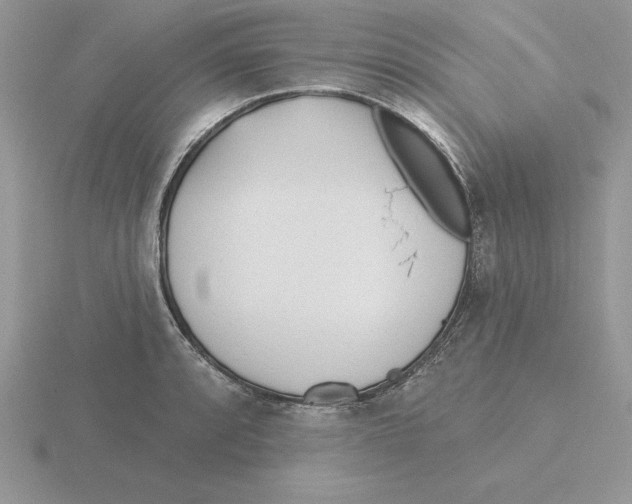 X0000115831088200912111307