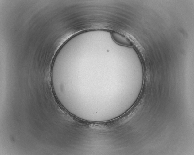 X0000115831089200912111307