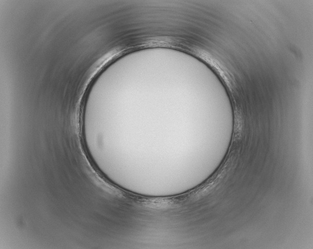 X0000115831090200912111307