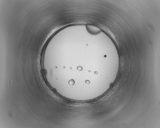 X0000115831091200912111307