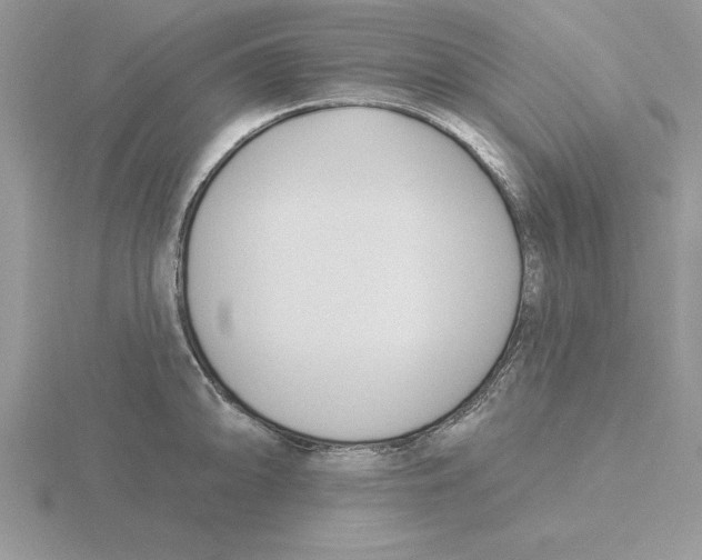 X0000115831094200912111307