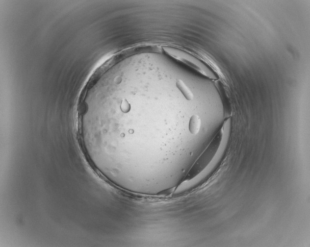 X0000115831095200912111307