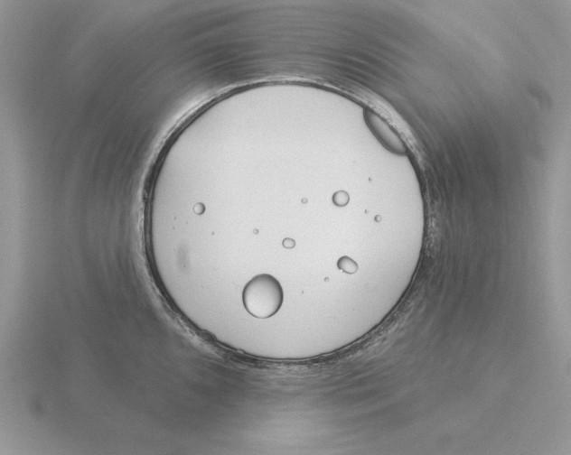 X0000115831096200912111307