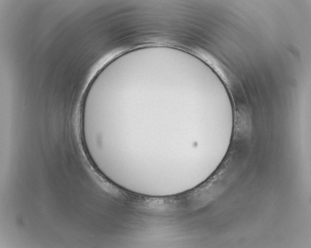 X0000115831098200912111307